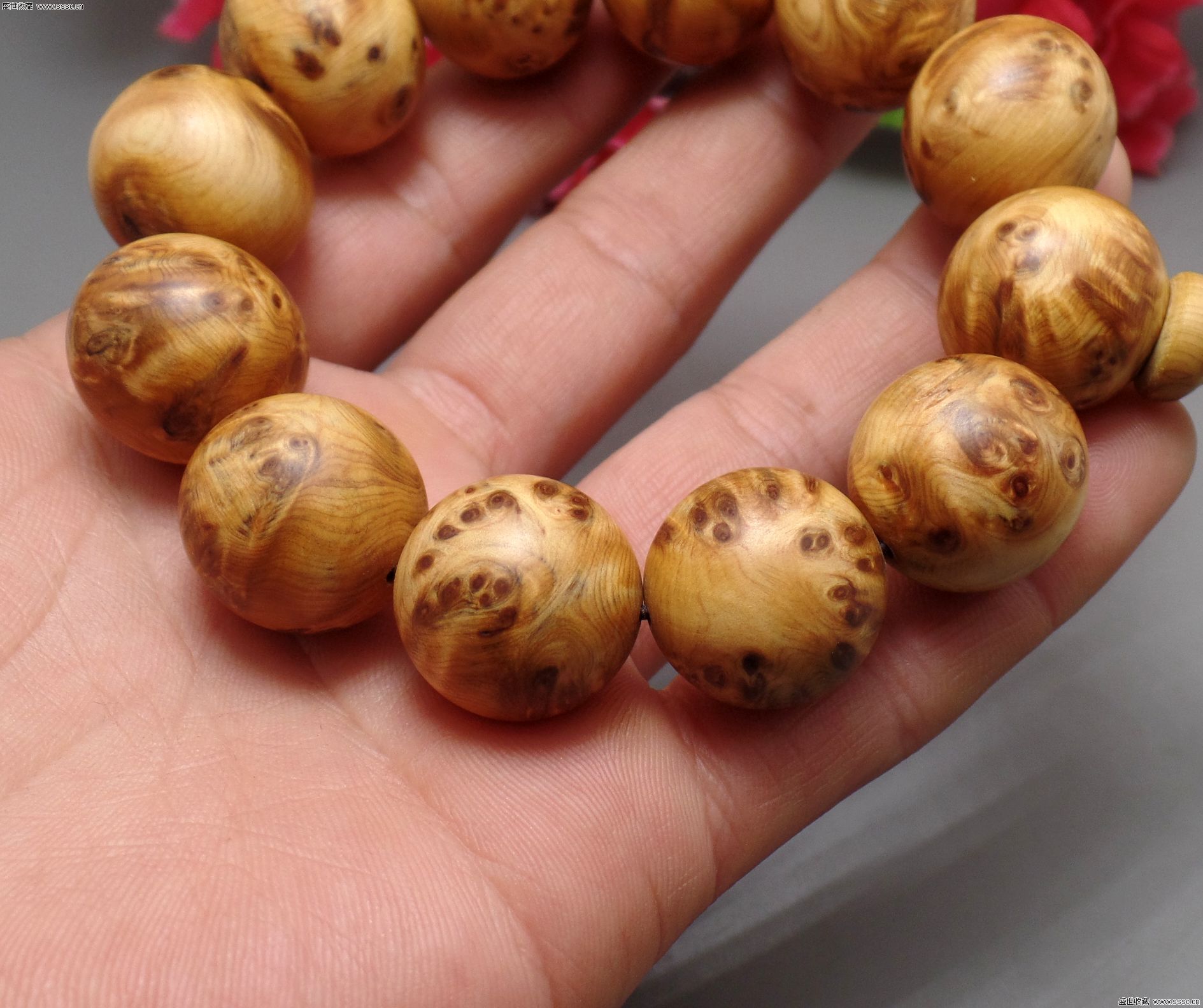 【星空·综合体育】聚丙烯粉料企业利润从盈利千元到亏损经历了什么?(图1) 星空综合