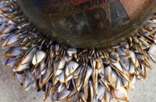 星空·综合体育