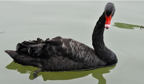 我国与逾30国签一带一路协议 将推六大经济走廊建设-星空综合(图1) 星空综合