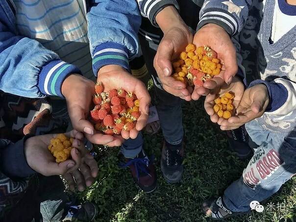 星空·综合体育