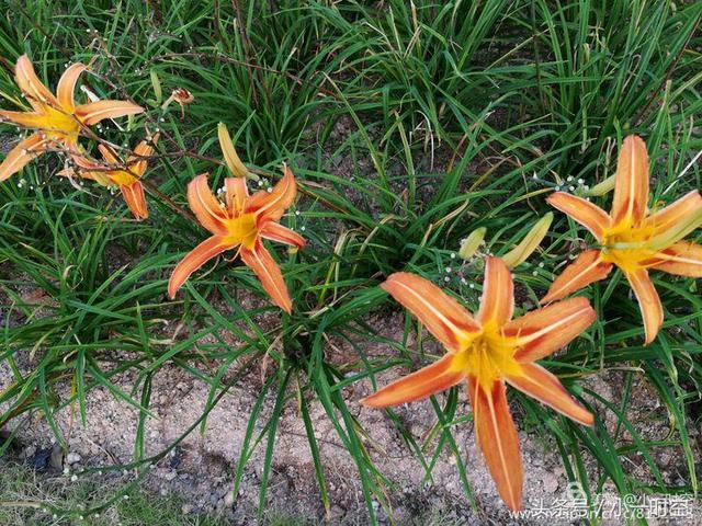 星空·综合体育