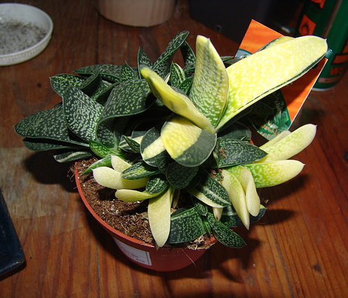 星空·综合体育