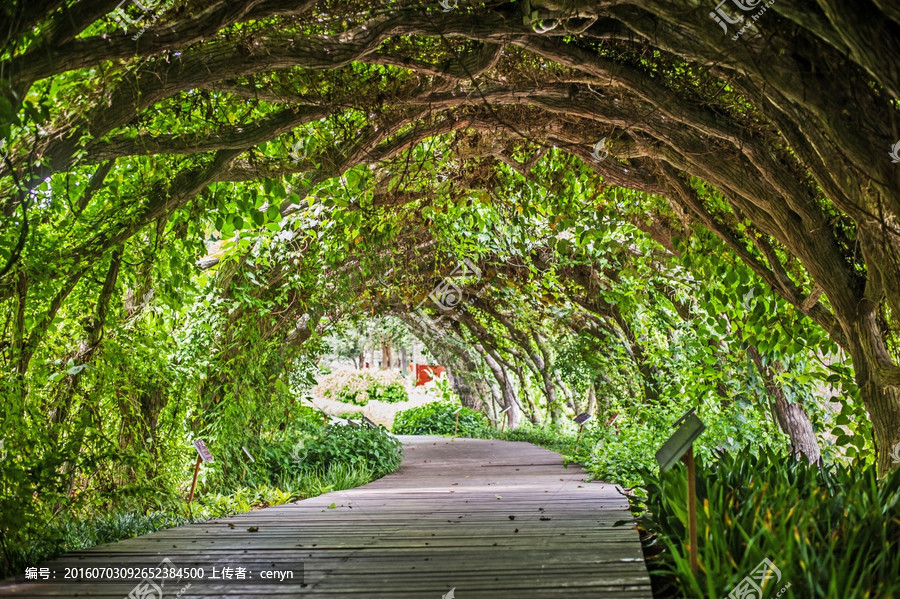 星空·综合体育