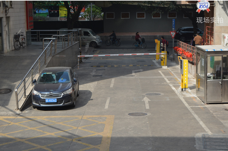 星空·综合体育