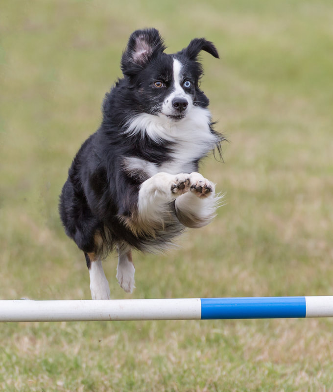 星空·综合体育