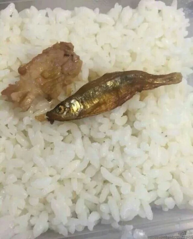 星空·综合体育