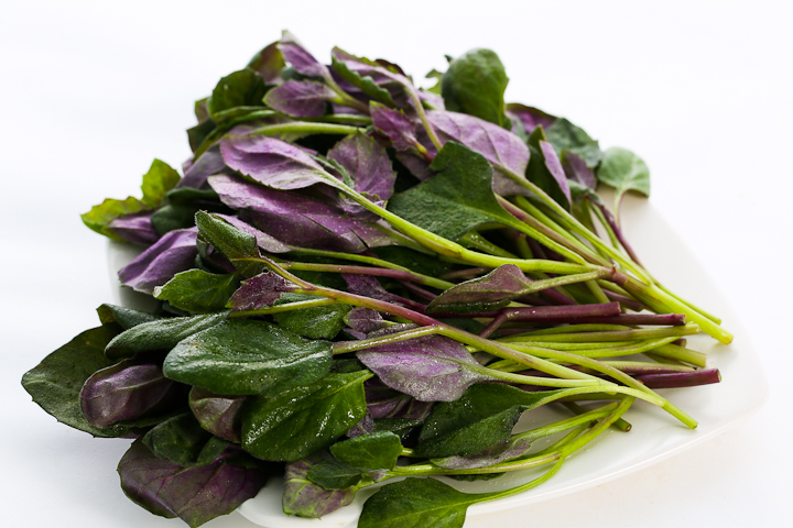 天津大学建筑设计规划研究总院成功承办“第十七届全国现代结构工程学术研讨会|星空·综合体育(图2) 星空综合