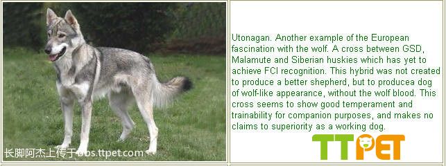 星空·综合体育