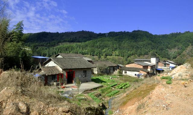 多方利好作用冰醋酸市场再度上涨_星空·综合体育(图1) 星空·综合体育