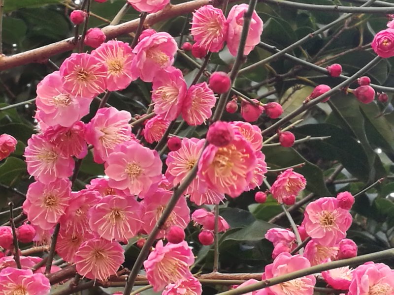 星空·综合体育