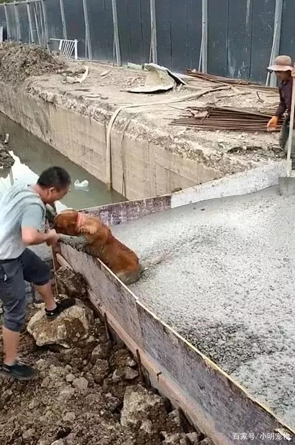 前瞻:詹姆斯需延续统治力 骑士绿衫军抢夺赛点【星空·综合体育】(图1) 星空·综合体育