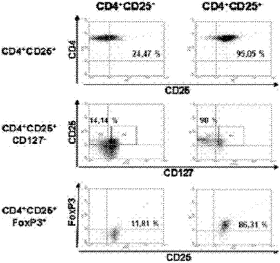 星空·综合体育