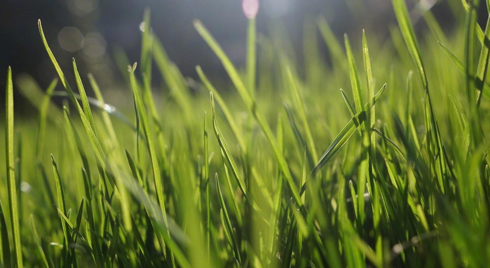 ‘星空·综合体育’中冶地勘岩土工程有限责任公司召开2016年上半年经济工作调研会(图1) 星空·综合体育