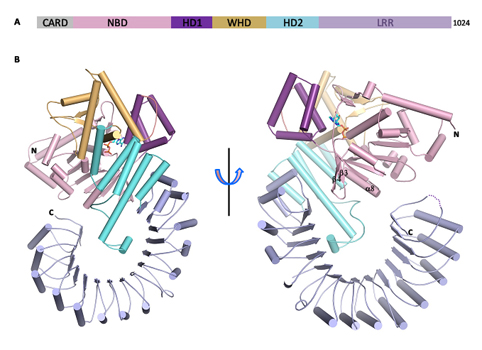 博格丹尽力了!步行者险胜尼克斯 穆迪埃顶住压力:星空综合(图4) 星空·综合体育