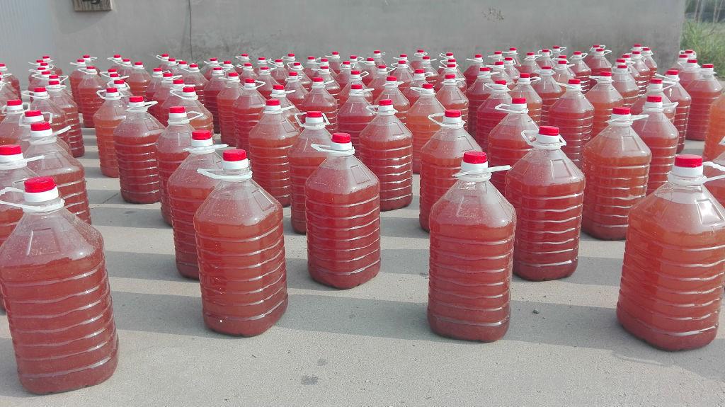 星空·综合体育