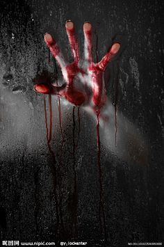 星空·综合体育