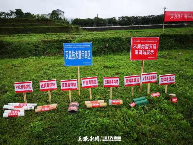 星空·综合体育