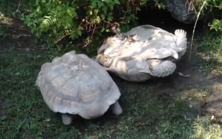 阿伦-艾弗森 比尔-拉塞尔 迈克尔-乔丹 改变NBA,从未被别超越‘星空综合’(图3) 星空·综合体育