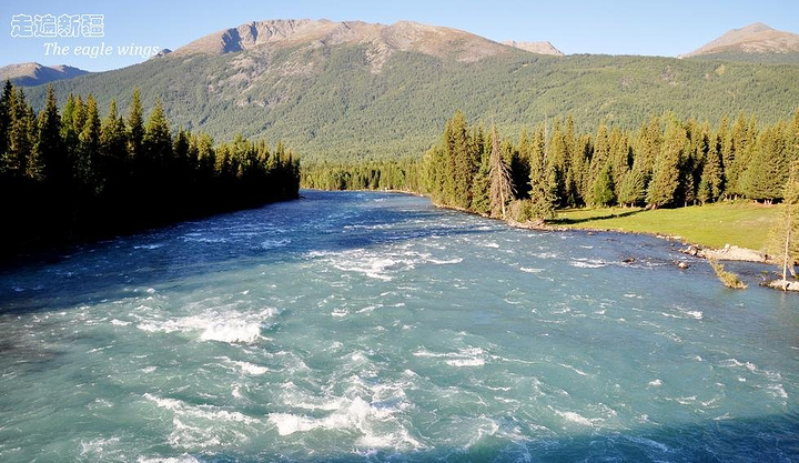 苦练!奥拉迪波立刻预备训练:不晓得该如何休假‘星空·综合体育’(图2) 星空·综合体育