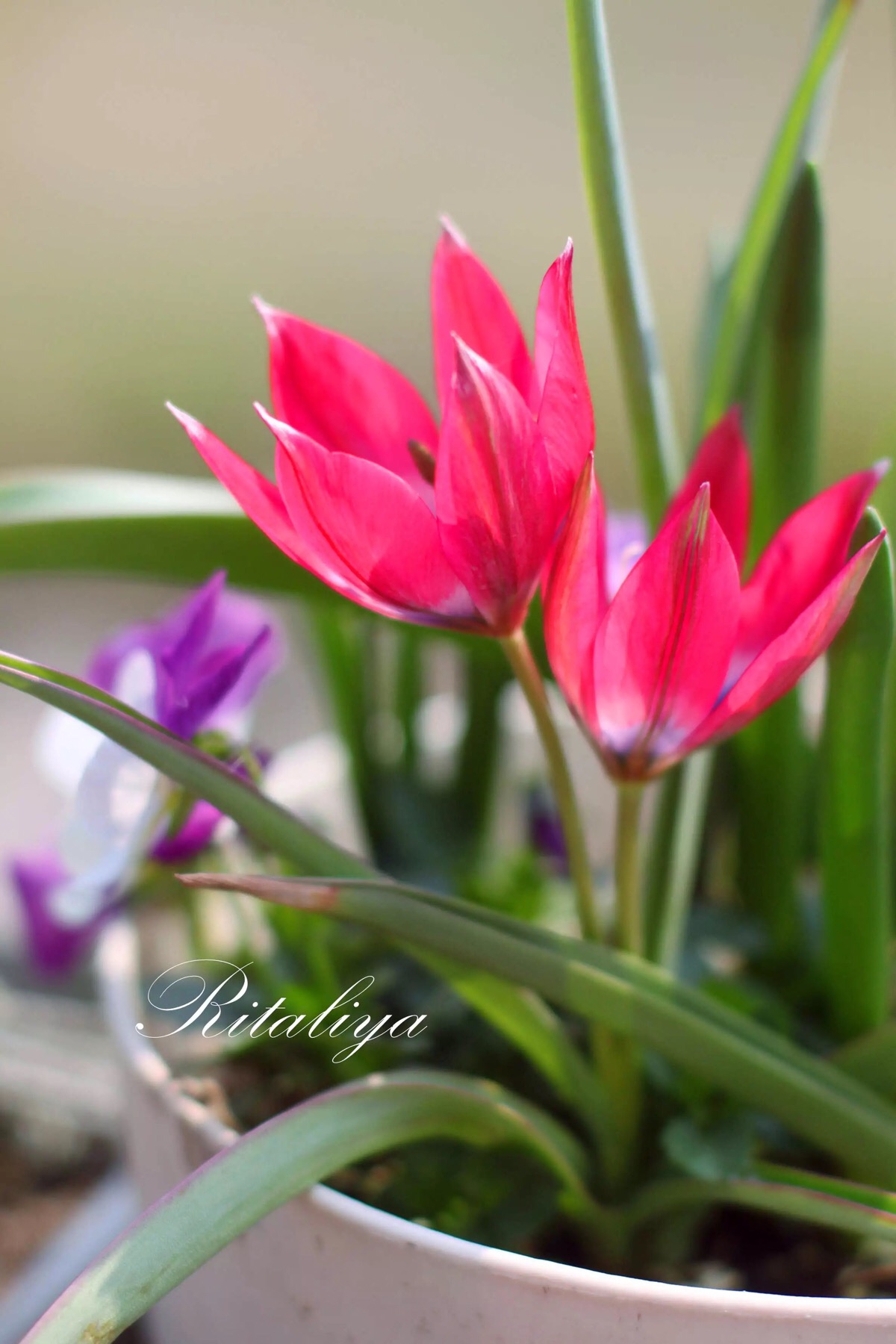 星空·综合体育