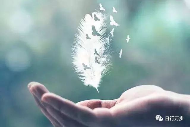 星空·综合体育