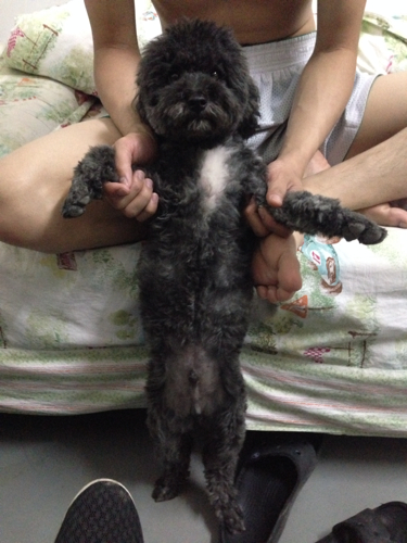 星空·综合体育