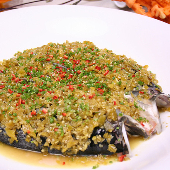 星空·综合体育