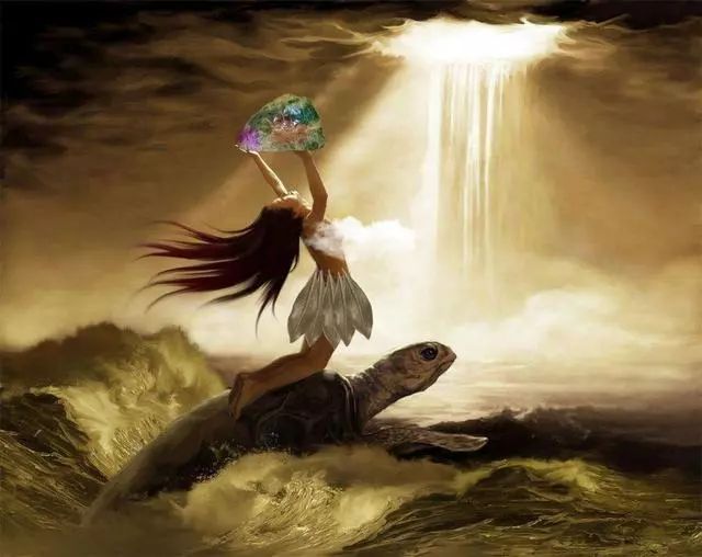 星空·综合体育