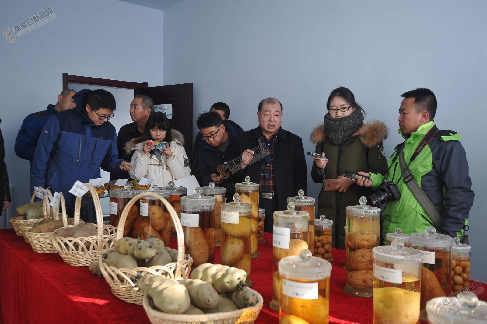 星空·综合体育