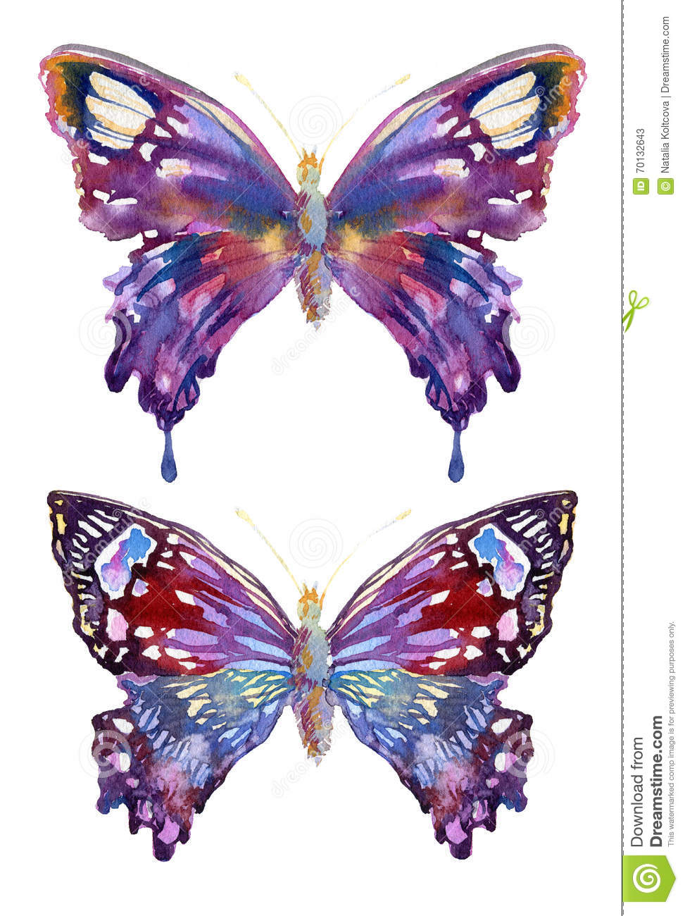 星空·综合体育