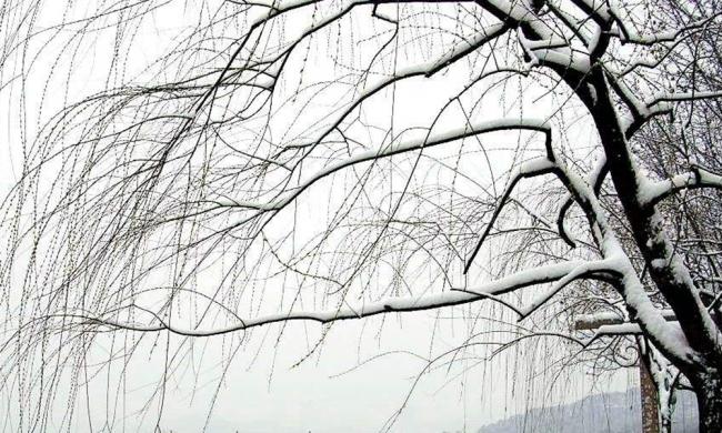 星空·综合体育