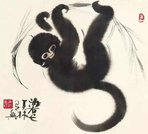 星空综合