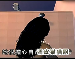 星空综合